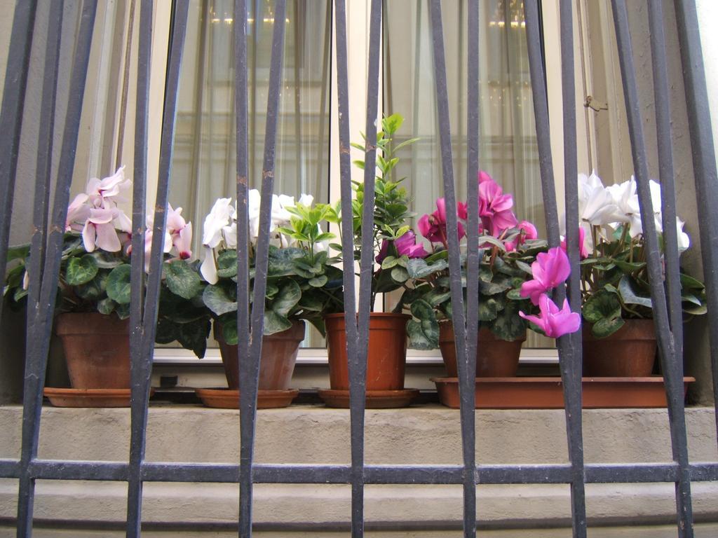 Hotel Nuova Italia Florença Exterior foto